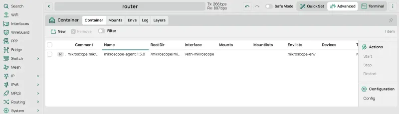 The Container tab after Start: the mikroscope container running.